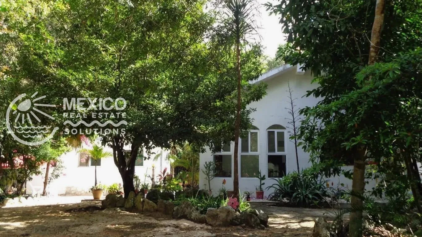 Off-Grid Jungle Estate with 2 Homes and Private Cenote Cave photo 4