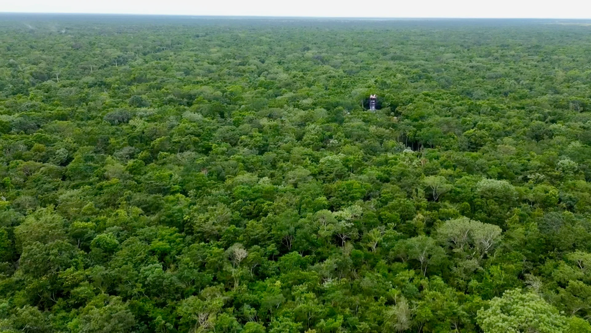 Paraiso Tucan: 3.4-Hectare Jungle Property Near Xpu-Ha photo 5