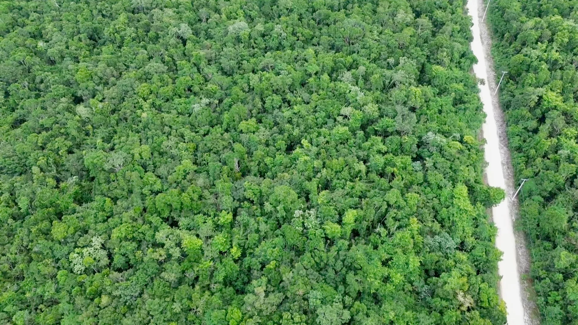 Paraiso Tucan: 3.4-Hectare Jungle Property Near Xpu-Ha photo 2